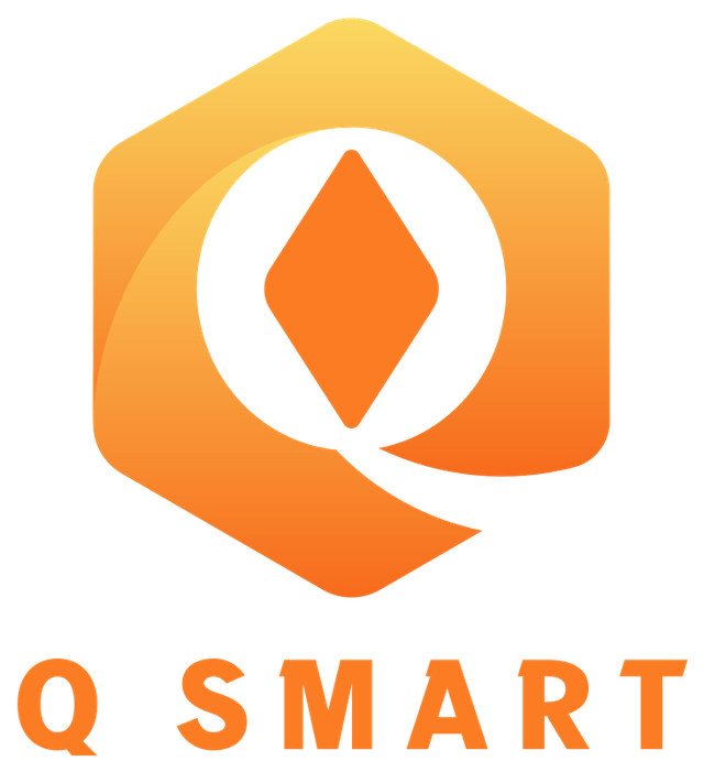 Q Smart
